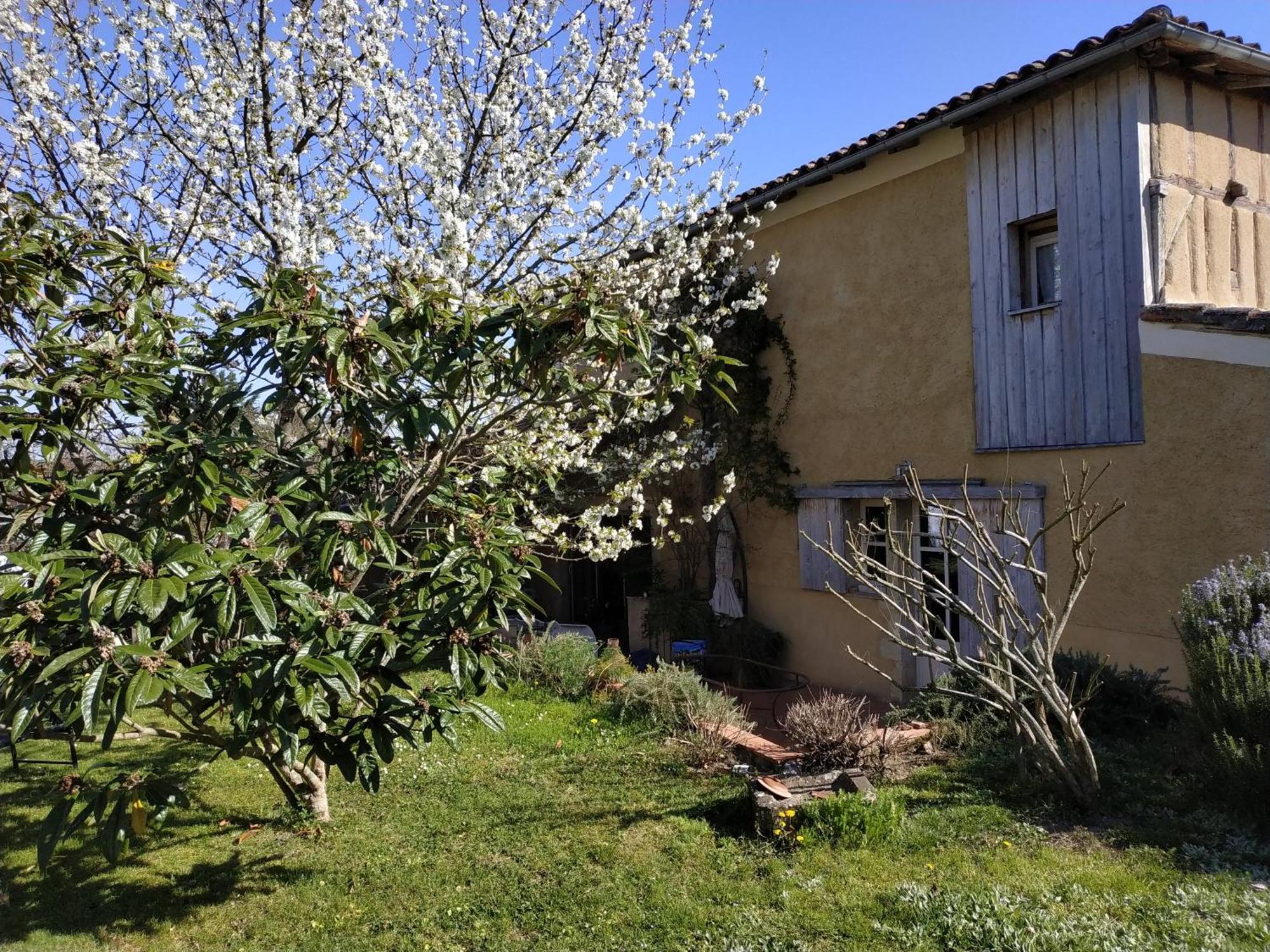 "Au Campaner" Chambres Dans Maison Gasconne Barran Buitenkant foto